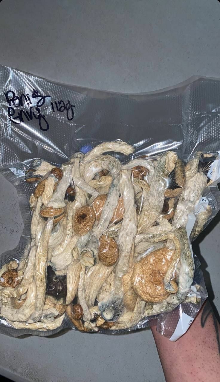 Z-Strain - Main Image