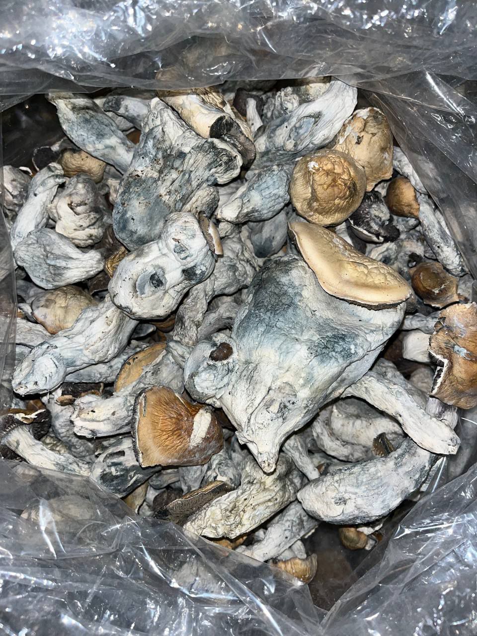 Mazatapec - Main Image